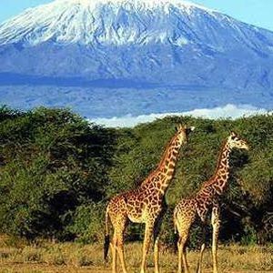 Meet your Posher, Mimi